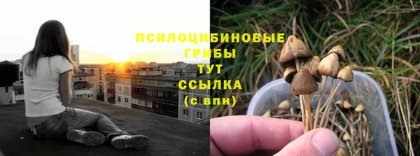 эйфоретик Беломорск