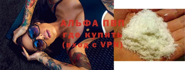 apvp Белокуриха