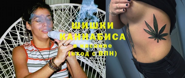 apvp Белокуриха