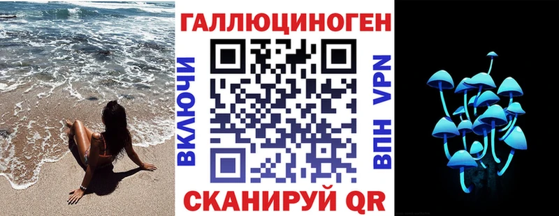 где найти   Сегежа  Галлюциногенные грибы MAGIC MUSHROOMS 